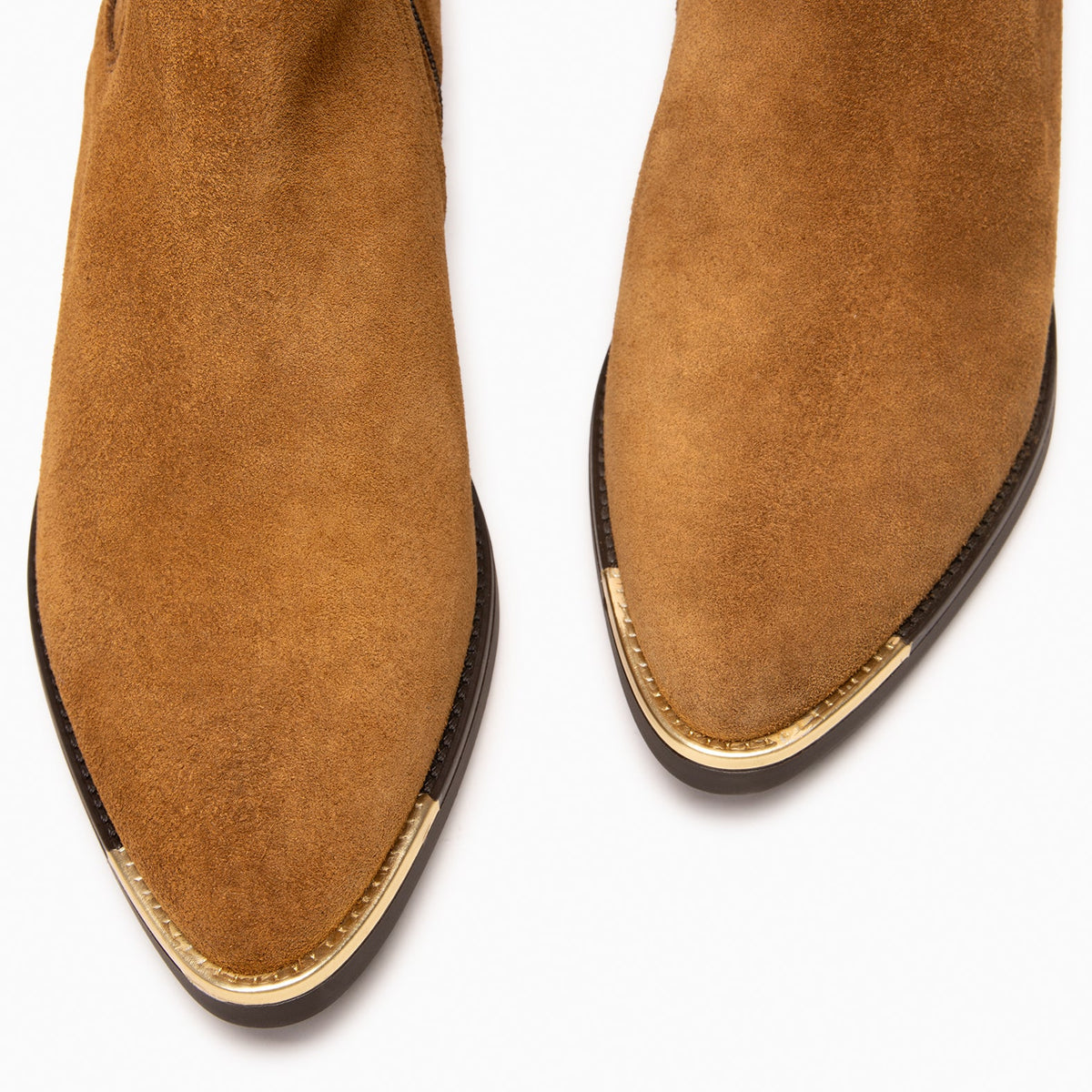 Camel | BONNIE · vista 5