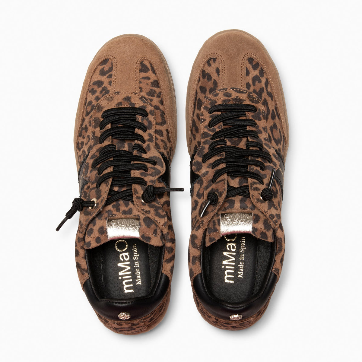 Leopardo | STÜDIO 01 · vista 8