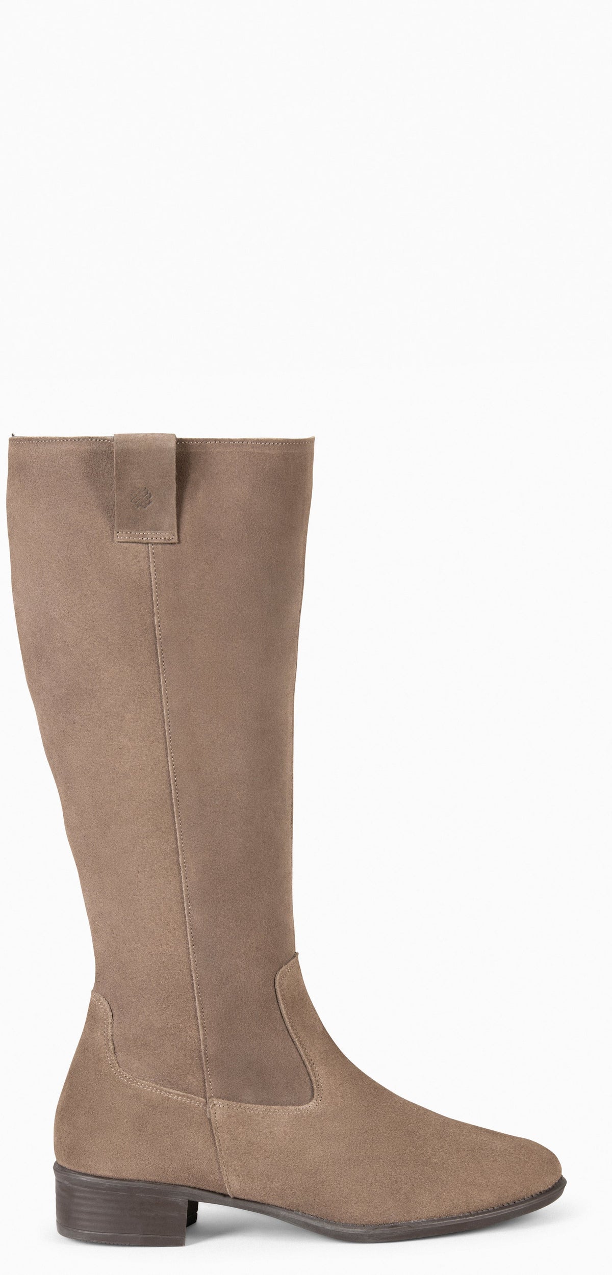 Taupe | TEXAS · vista 1